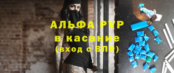 индика Абаза