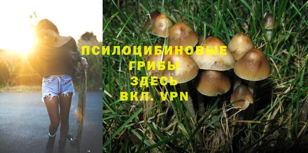 индика Абаза