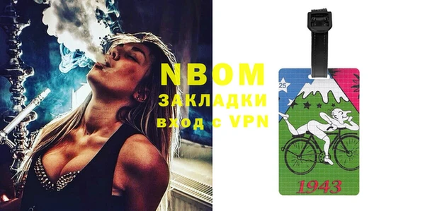индика Абаза