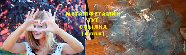 индика Абаза