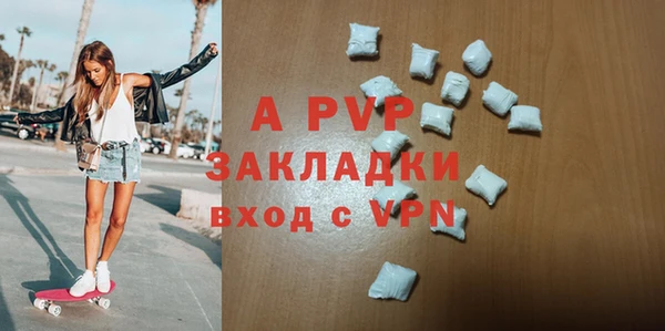 индика Абаза