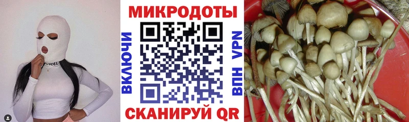 Галлюциногенные грибы мухоморы  цены   Кизилюрт 
