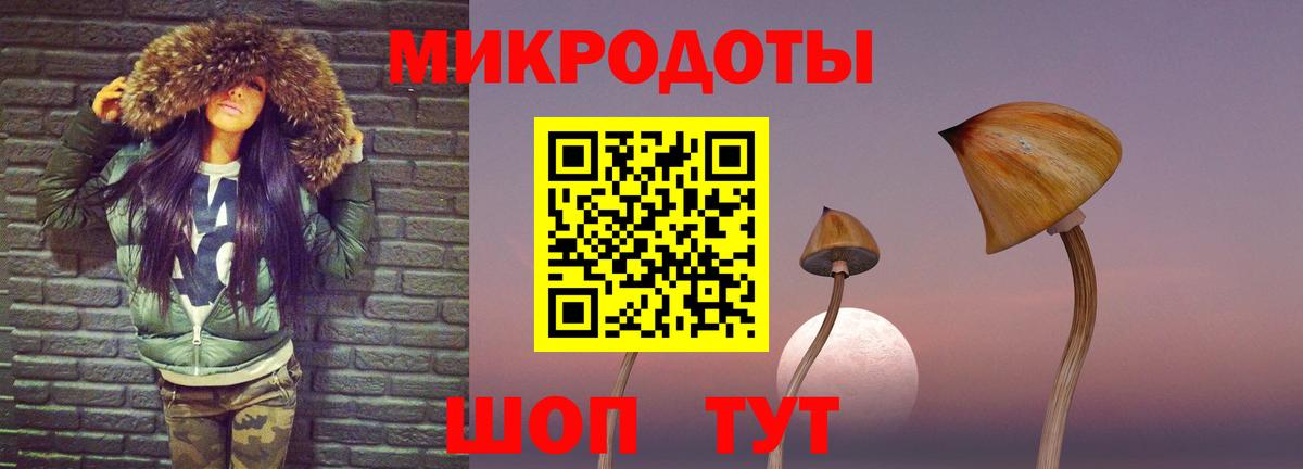 Галлюциногенные грибы GOLDEN TEACHER  Вход с VPN  Кизилюрт  Псилоцибиновые грибы Cubensis 